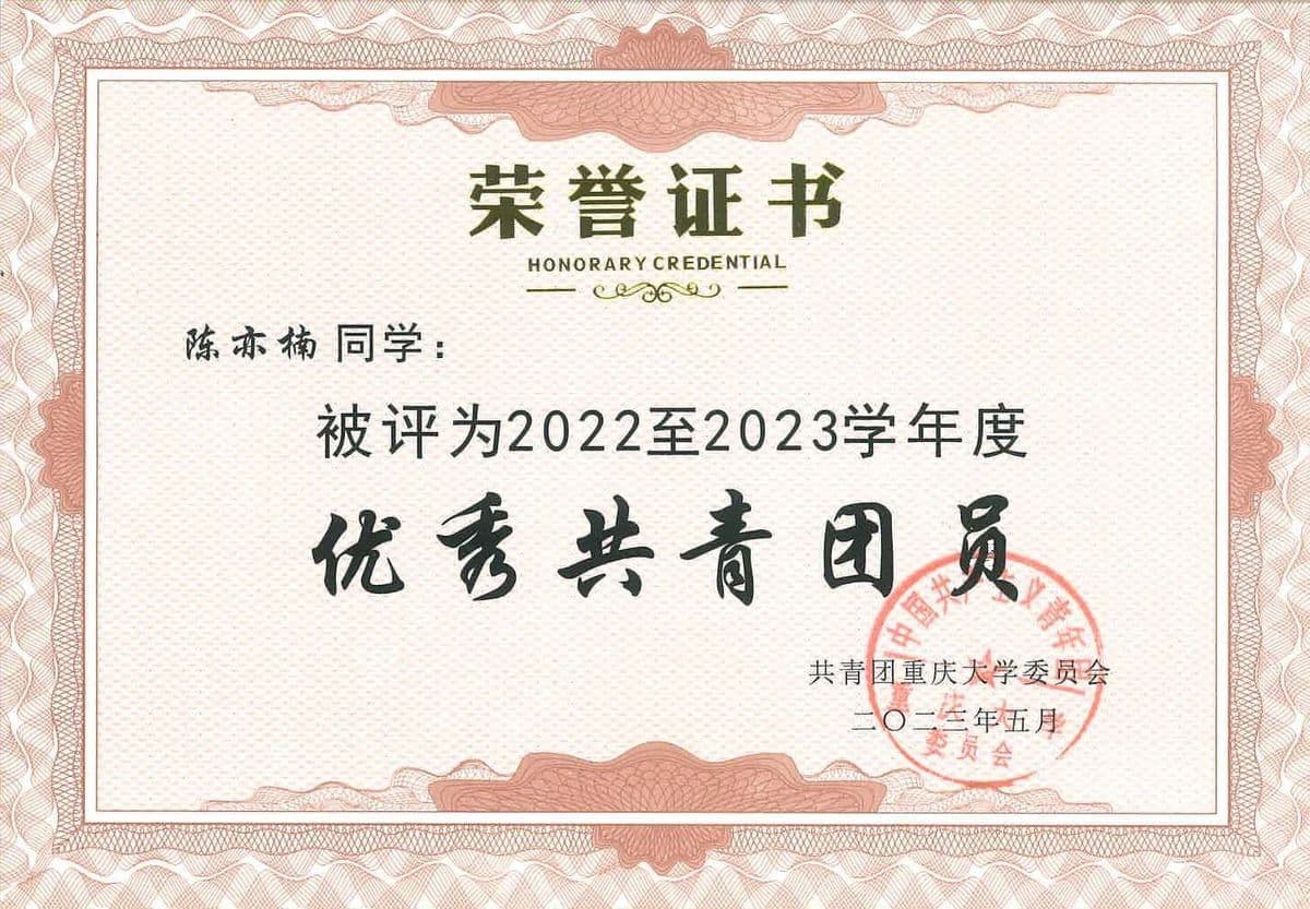 重庆大学优秀共青团员