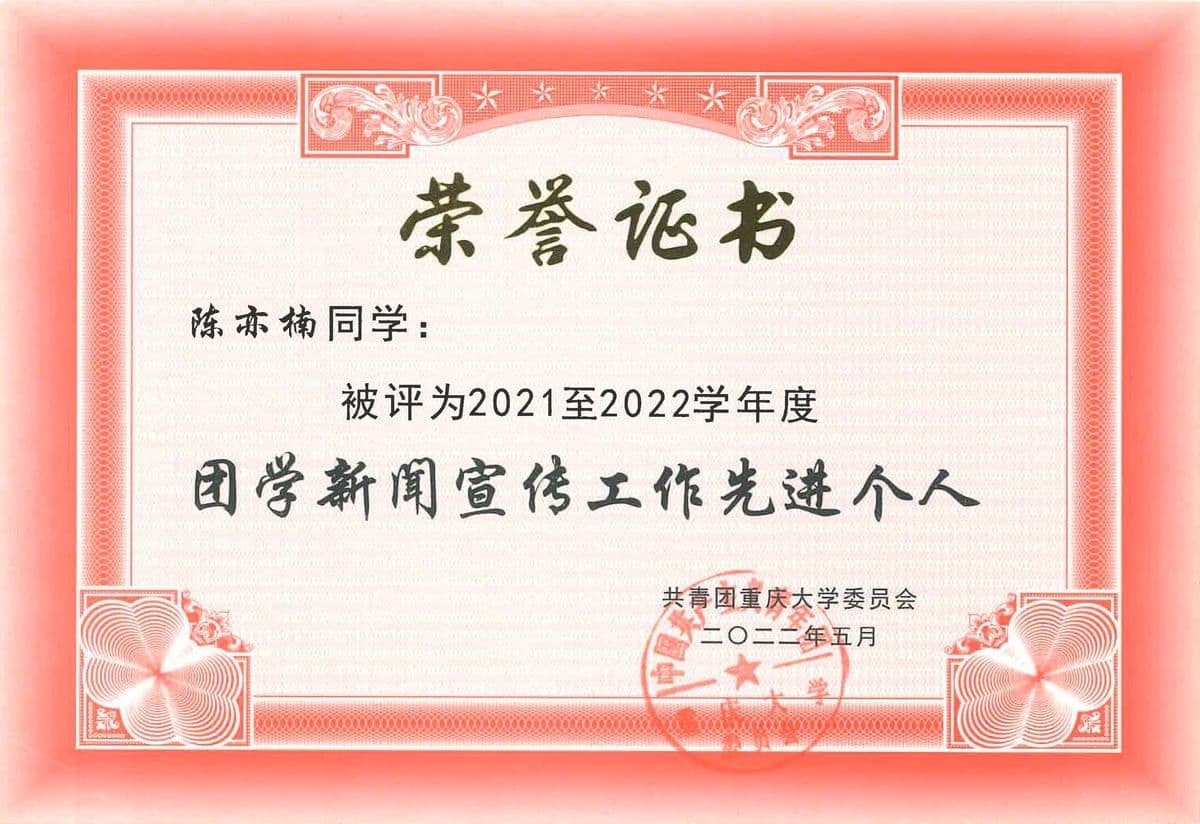 团学新闻宣传先进个人